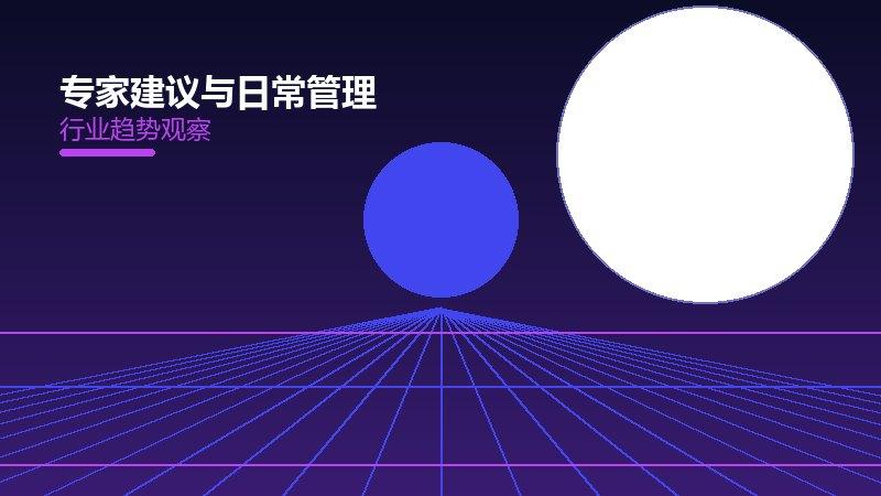 专家建议与日常管理：行业观察与深度分析