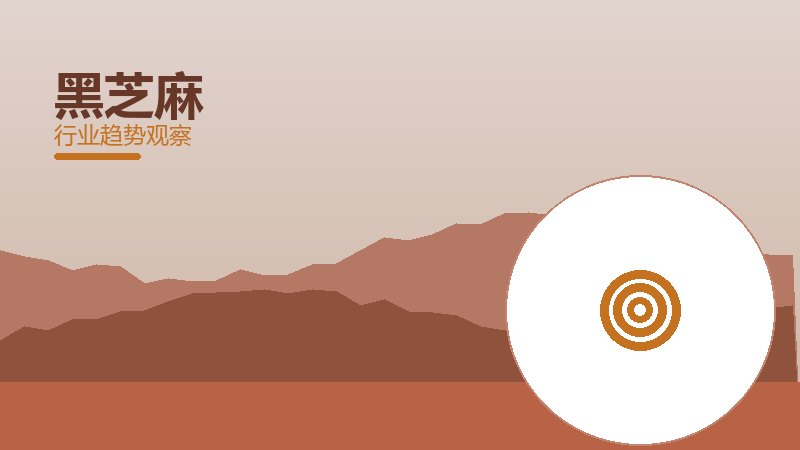 黑芝麻经验总结，实践沉淀与方法论